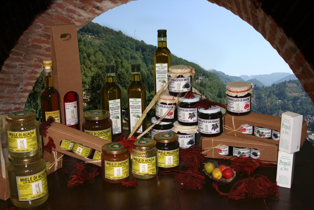 Agriturismo La Torre Bagni di Lucca Exteriér fotografie